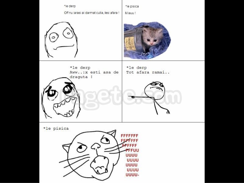 396603_555830017764597_1755592915_n