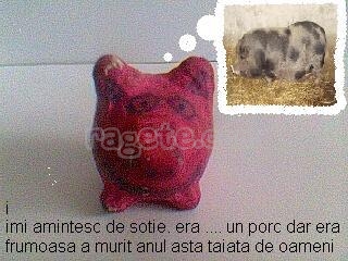 s2