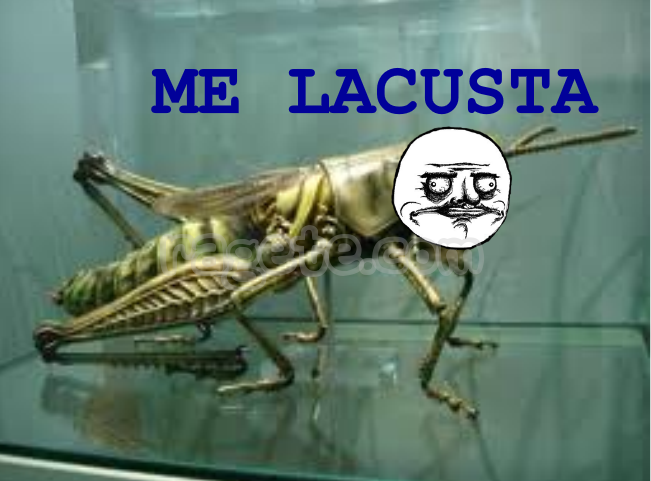 Me Lacusta