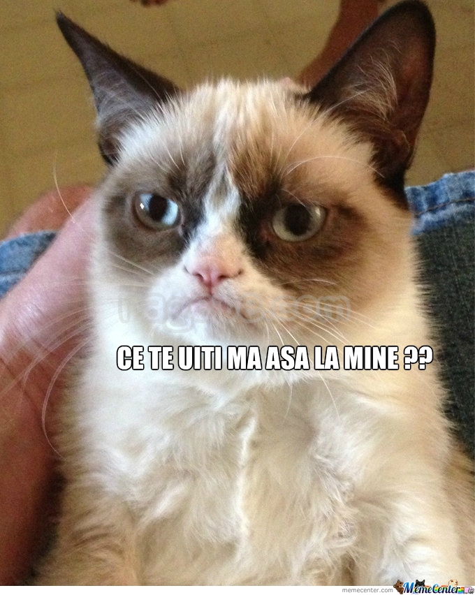 MemeCenter_1358537696281_207