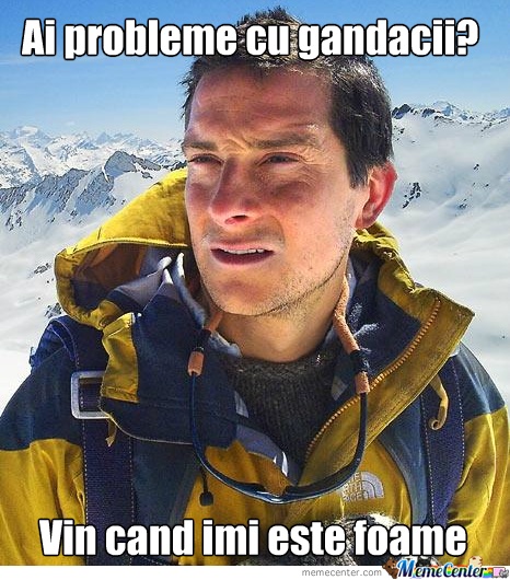 bear_gandac