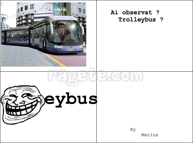 Bus