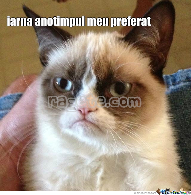 MemeCenter_1362506616785_795