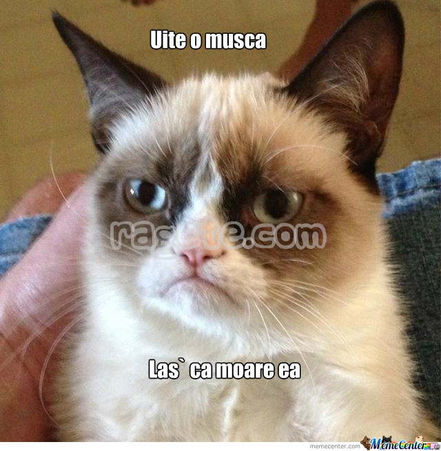 MemeCenter_1363372686859_596