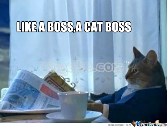 MemeCenter_1363374445968_385