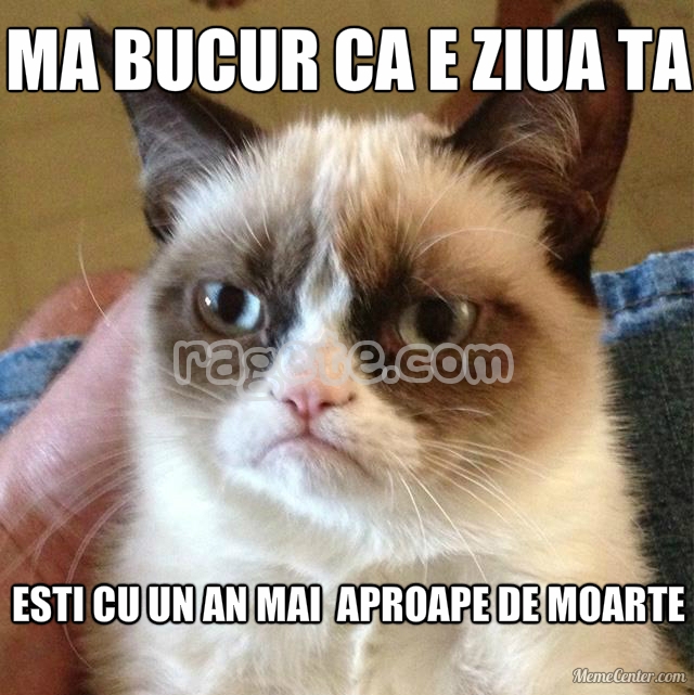 qmeme_1363847265037_676
