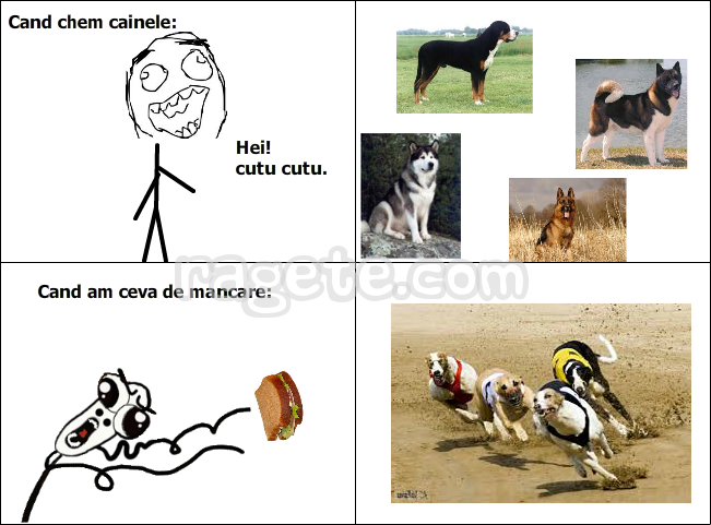 ragecomic