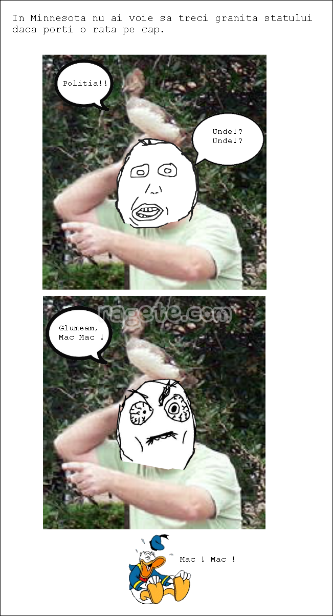 Legi Stupide 4