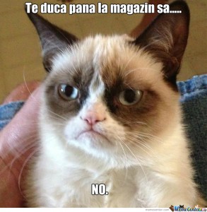 MemeCenter_1370244636027_201