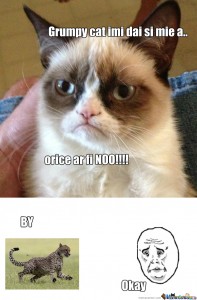 MemeCenter_1370838452734_606