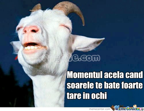 MemeCenter_1371624410661_212