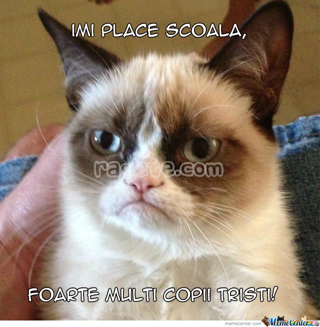MemeCenter_1371926232156_351