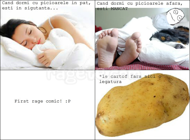 Rage comic 1