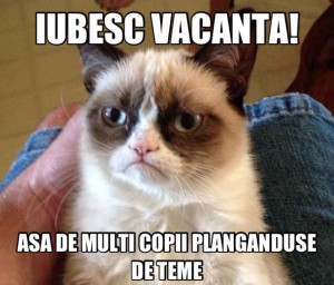 grumpy cat