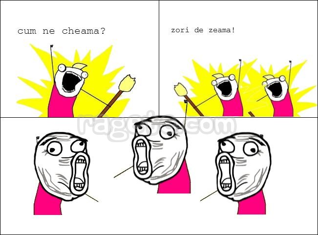 533768_239084839574276_702653665_n