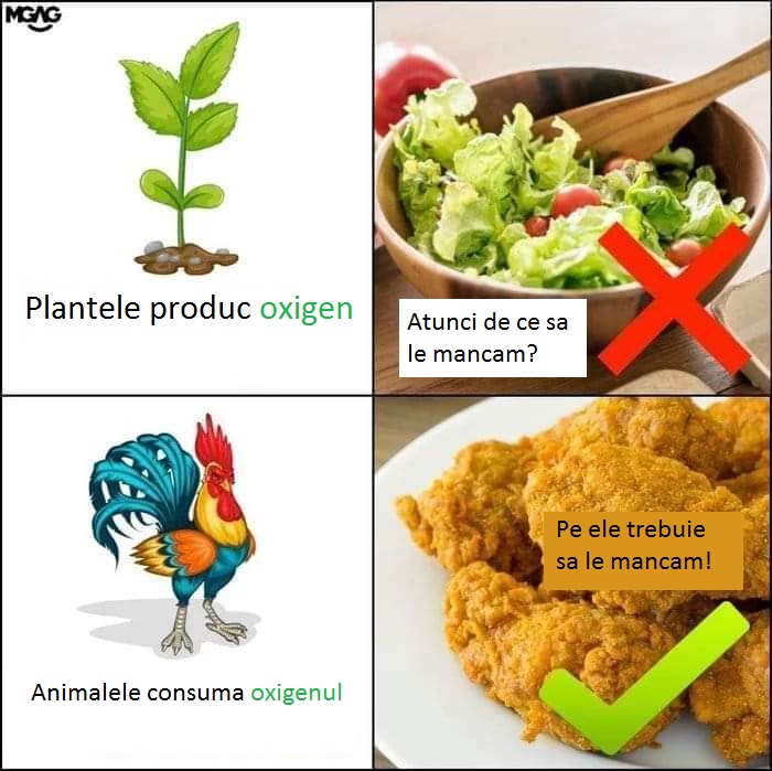 plantele produc oxigen, nu ar trebui sa le mancam, animalele consuma oxigenul, pe ele ar trebui sa le mancam